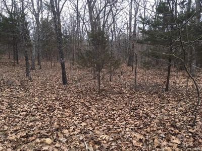 8 Avalon, Bismarck, MO, 63624