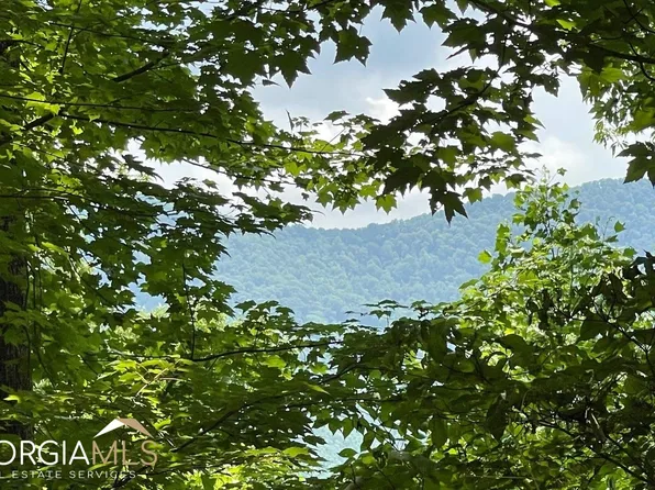 LOT 20 Bald Eagle Dr Lot 20, Young Harris, GA 30582