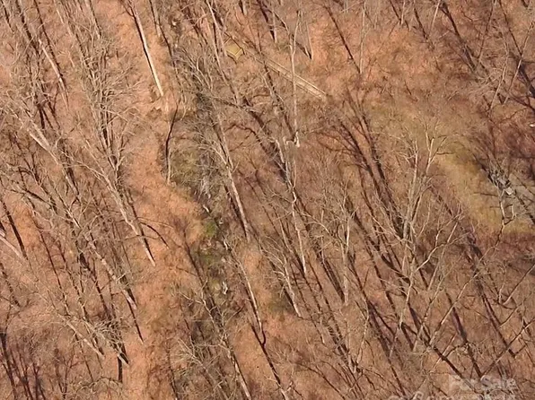 155 Old Cabin Cv, Sylva, NC 28779