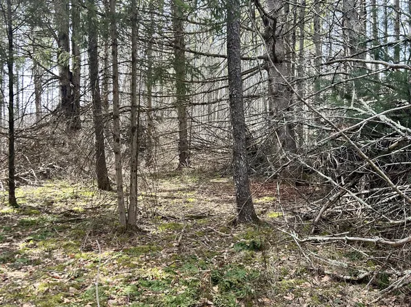 00 Weaver Dam Road, Petersburgh, NY 12138