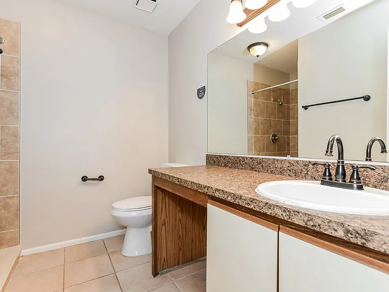 724 Iowa Woods Cir E — Photo 11