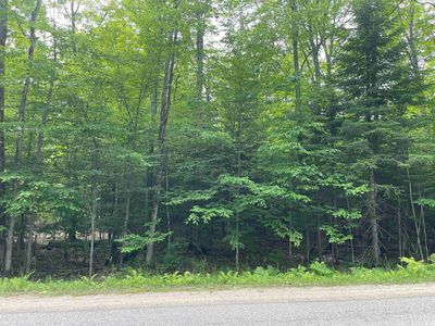 PARCEL W Smith Lake Dr #A, Manistique, MI, 49854