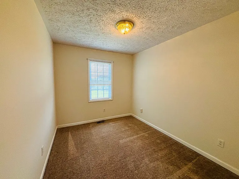 409B Miller St — Photo 12