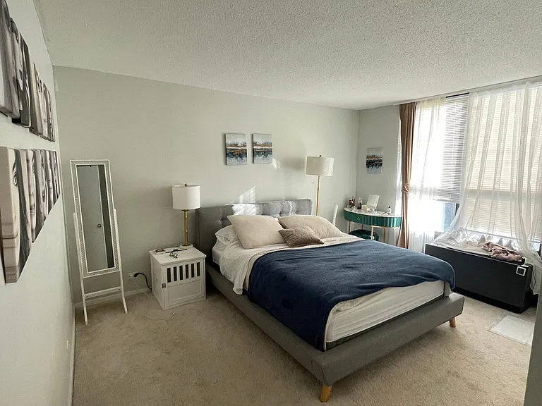 899 S Plymouth Ct #508 — Photo 11