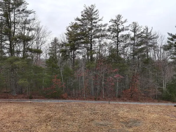 0 Elderberry Ln, Buena Vista, VA 24416