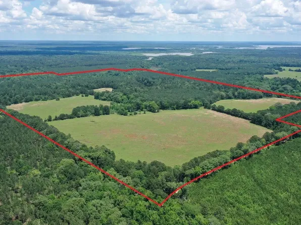 295 County Road 2462, Douglassville, TX 75560