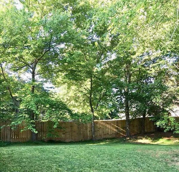 Fenced Backyard
