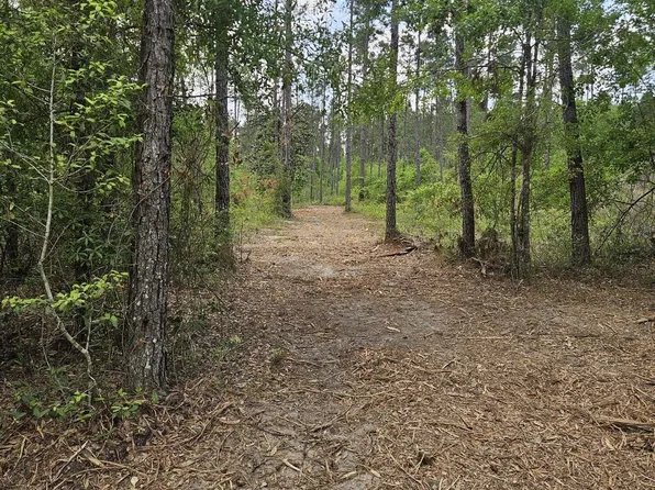 LOT 2 Rocky Creek Rd, Marianna, FL 32448