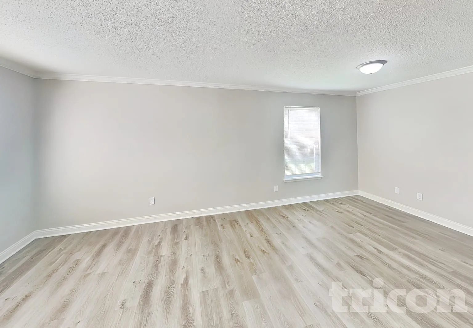 8432 Centenary Drive Camby IN — Photo 2