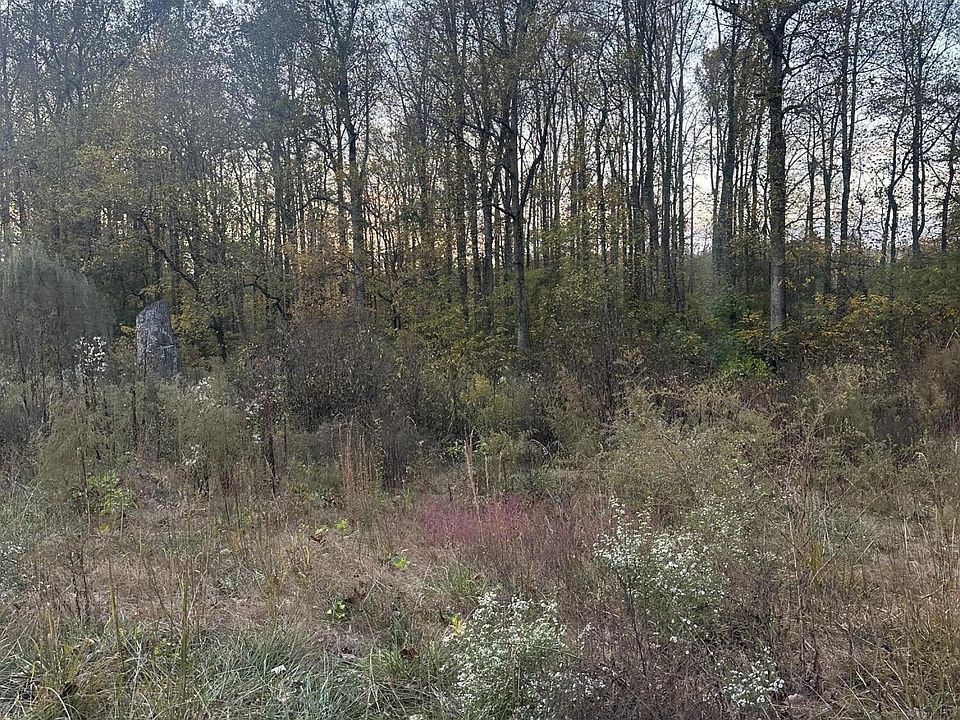 1st image of 7 Lake Forest Dr