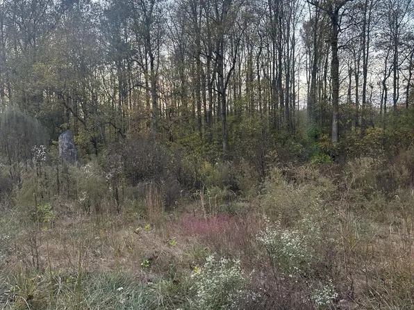 7 Lake Forest Dr, Birchwood, TN 37308