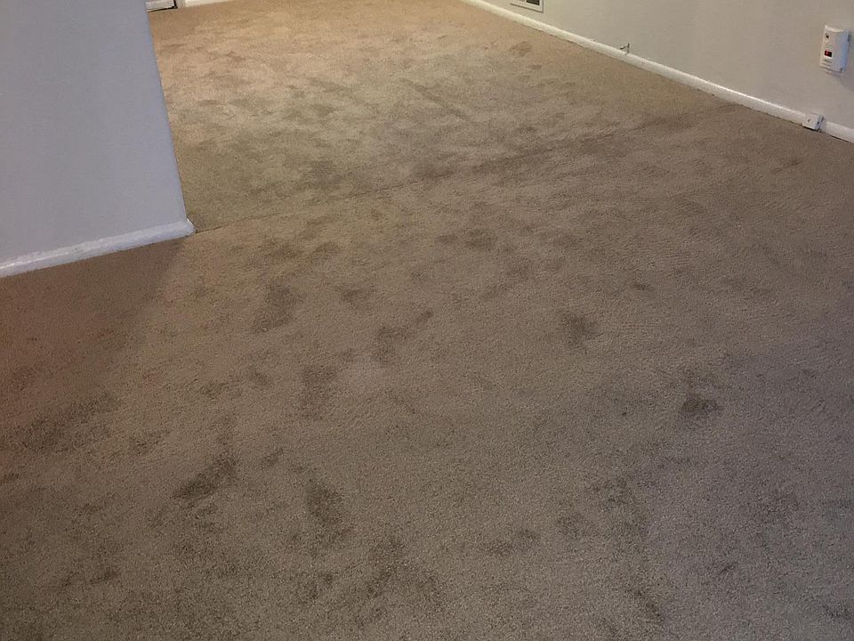 2nd image of 4532 Jackson Ave