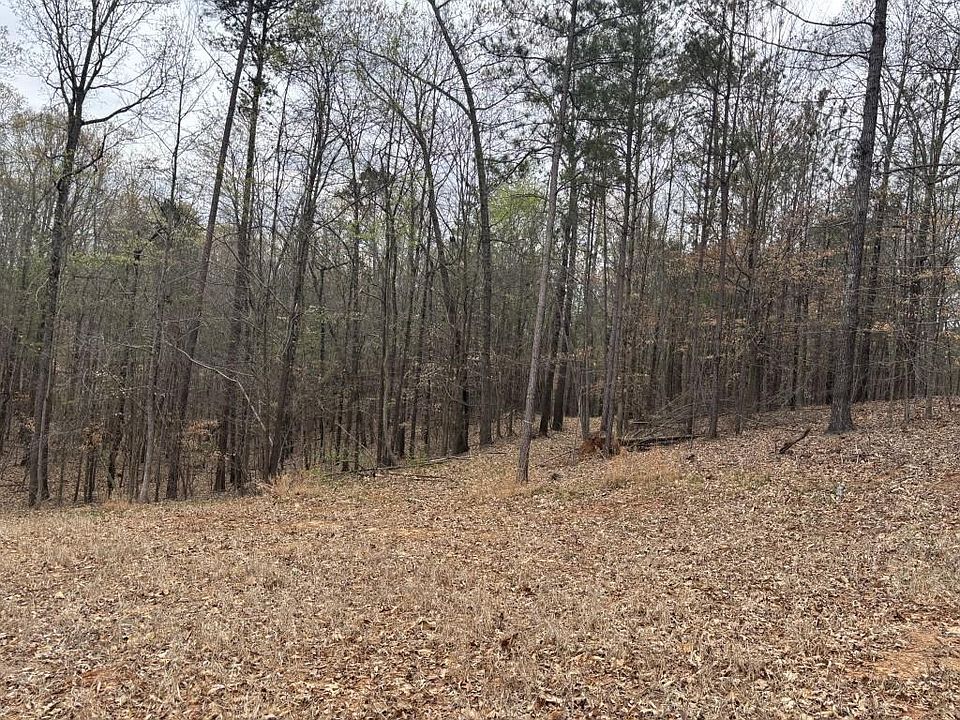 2nd image of 0 Summer Lake Rd
