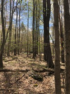 Fala Ct, Pocono Lake, PA, 18347