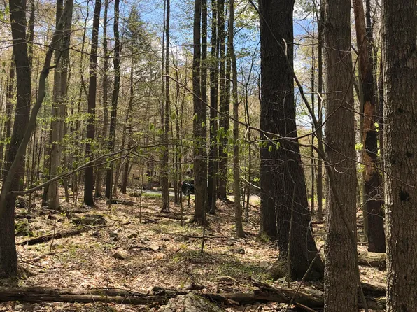 Fala Ct, Pocono Lake, PA 18347