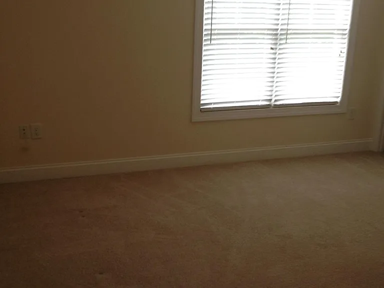 3797 Creek Ridge Dr — Photo 9