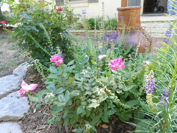 Perennial gardens