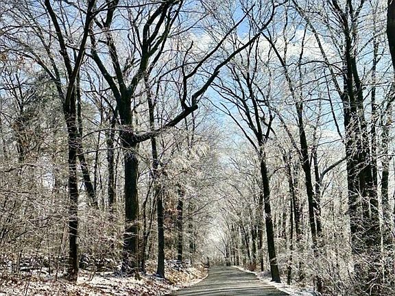 3rd image of 99 Burbank Rd Lot 182