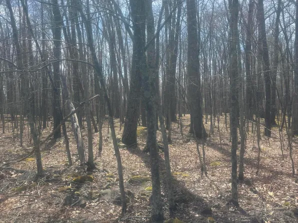 Upper Lakeview Dr, Hawley, PA 18428