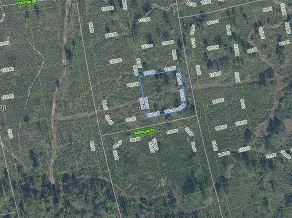 4703 San Pedro Dr, Sebring, FL 33872