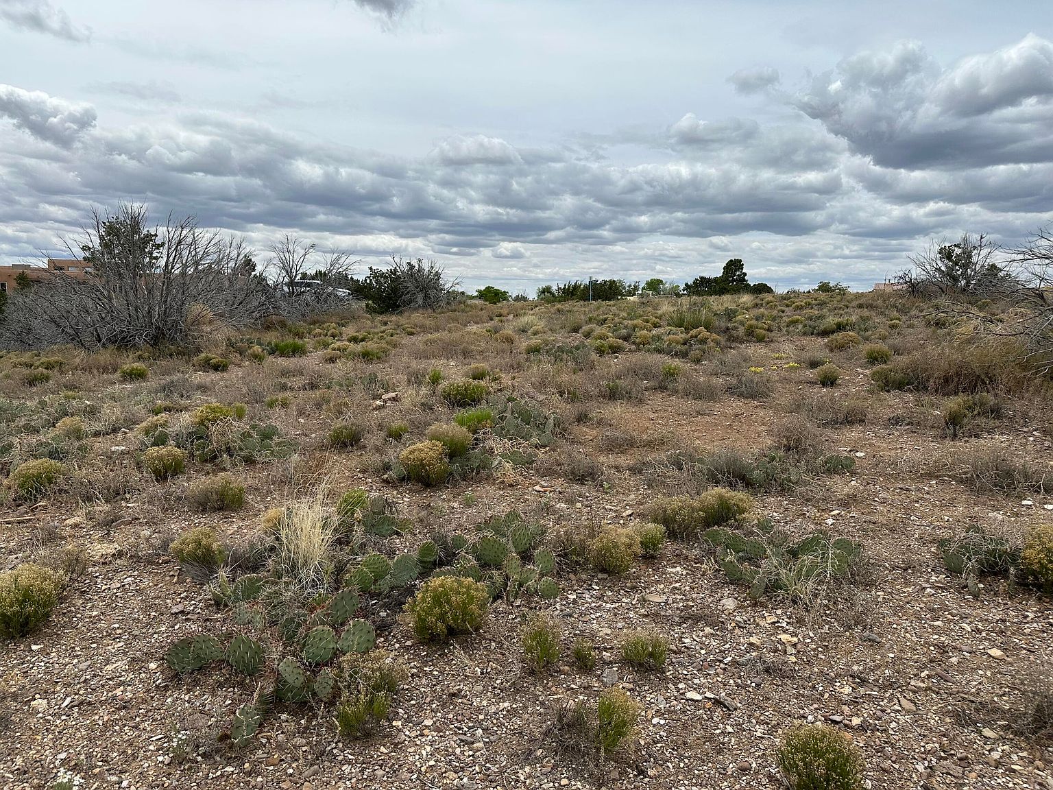 LOT 342 Hoochaneetsa Blvd, Cochiti Lake, NM 87083 MLS 1034365 Zillow
