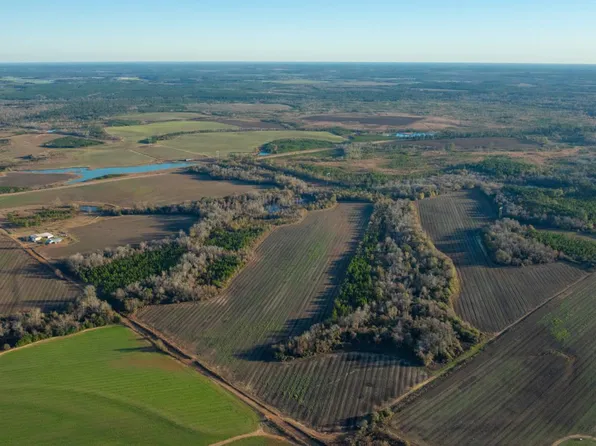 2288 Williford Rd, Rebecca, GA 31783