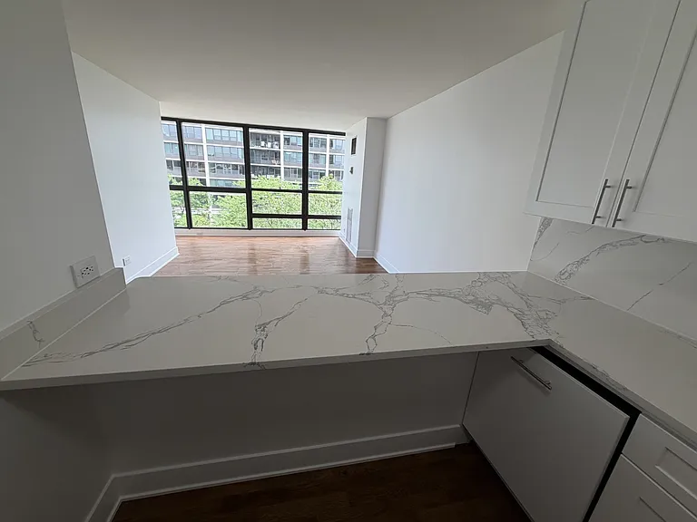 1540 N Lasalle St #403 — Photo 20