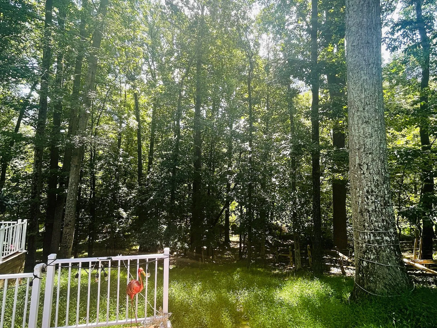 Preakness Dr, Damascus — Photo 3