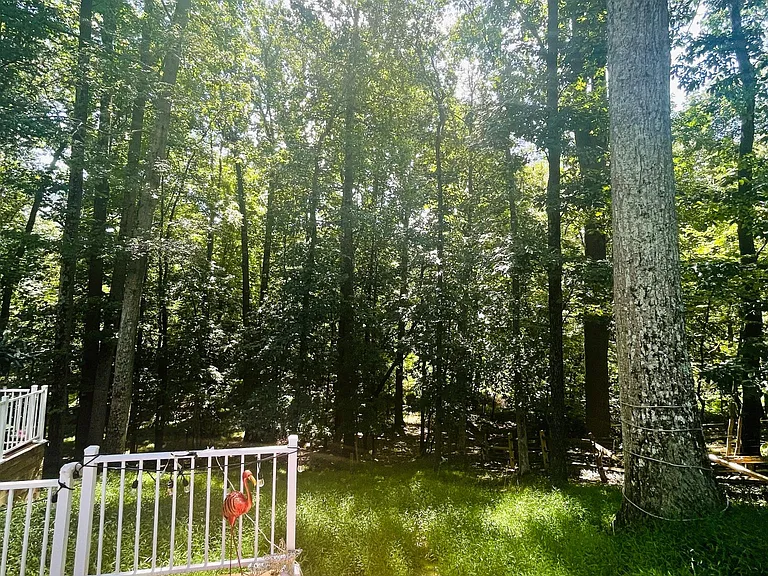 Preakness Dr — Photo 4