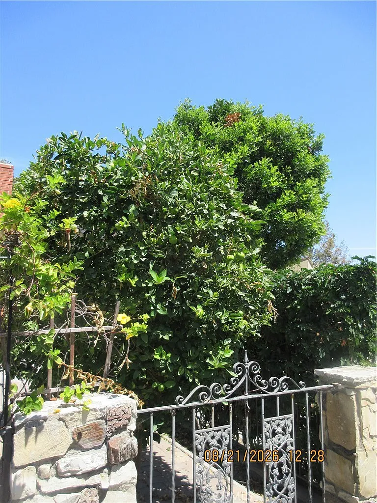4 bed, 1933 sqft, $4,800 — Photo 4