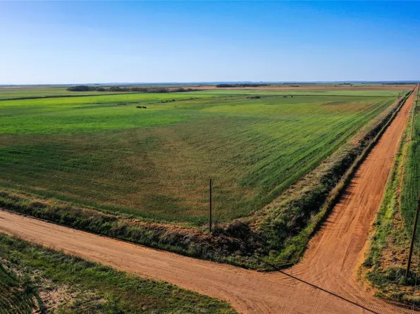 County Road 184, O'Brien, TX 79539