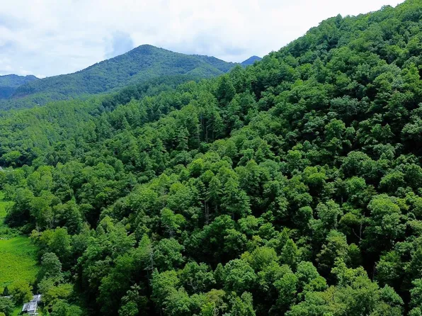 Carrs Creek Rd, Townsend, TN 37882