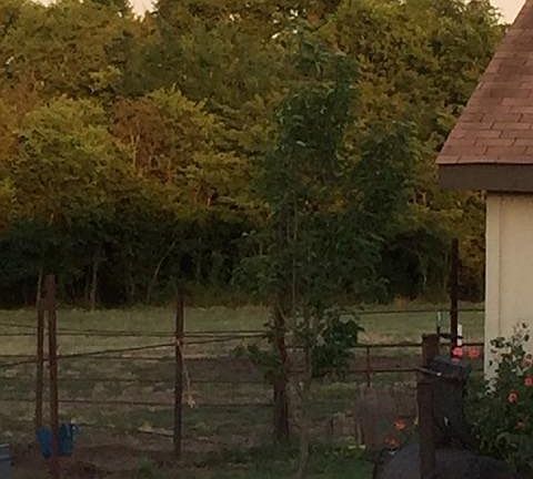 5th image of 5839 County Road 3223