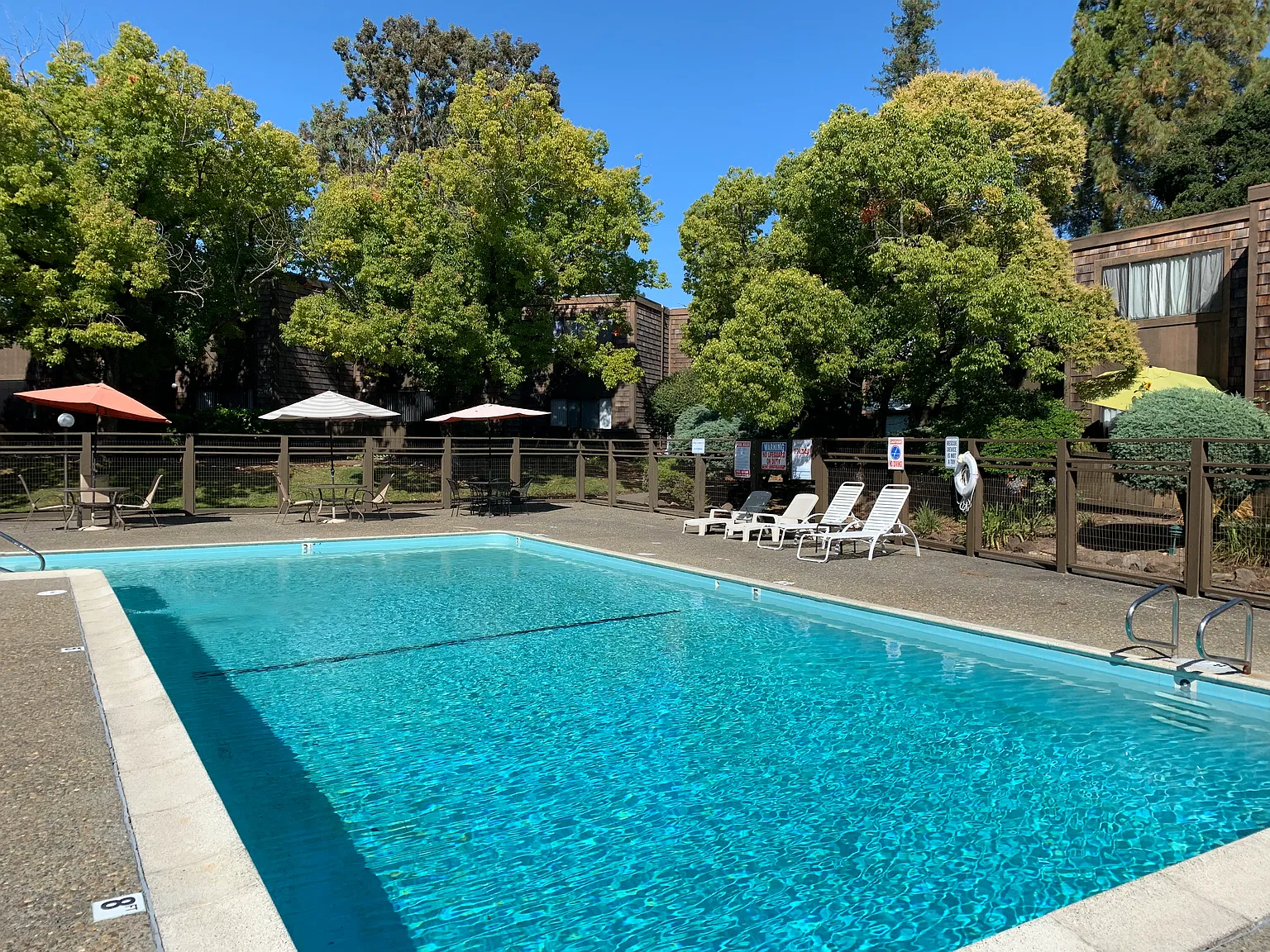 1 bed, $2,450 — Photo 3