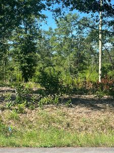 9C Piper Rd, Trenton, SC, 29847