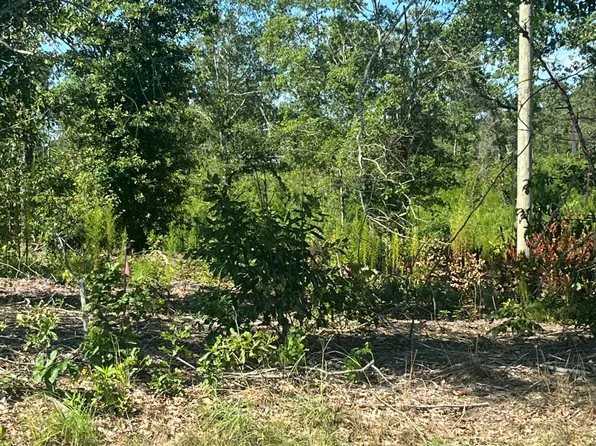 9C Piper Rd, Trenton, SC 29847