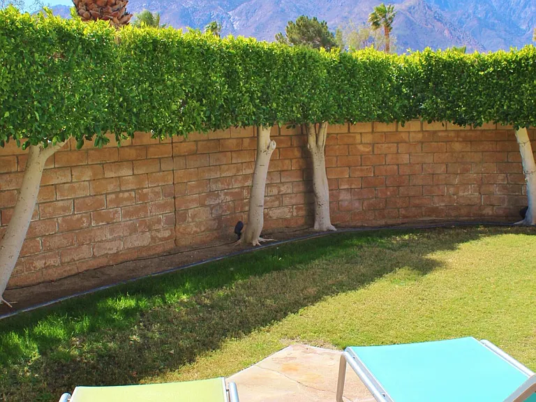 1181 Sunflower Ln #1181 — Photo 33