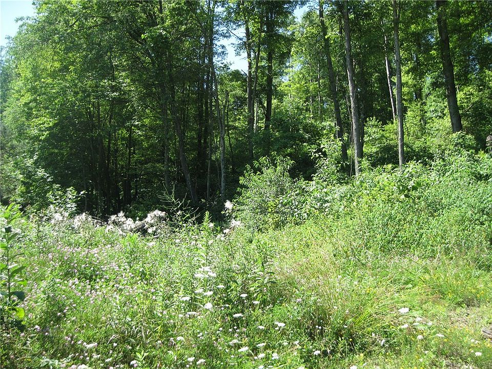 2nd image of Lot6b Oneida Valley Rd