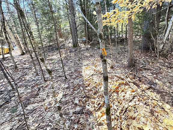 5th image of Lot 5 Lords Hill Road