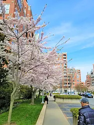 Sold by Mill Realty Group Inc.