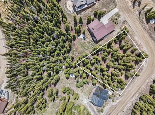 462 Kimmes Lane, Breckenridge, CO 80424
