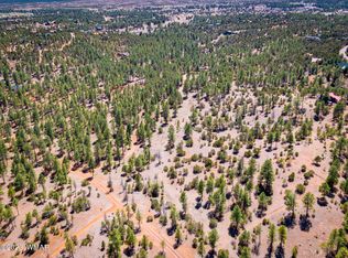 Homestead Dr, Overgaard, AZ 85933