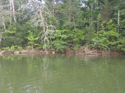 540 Debbie Dr Lot 24, Spring City, TN, 37381