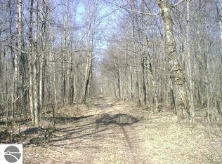 7600 Raspberry Ln, Elmira, MI 49730