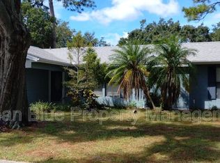 15120 Trail Creek Pl, Tampa, FL 33625