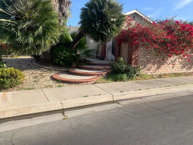 24151 El Tiradore Cir — Photo 29