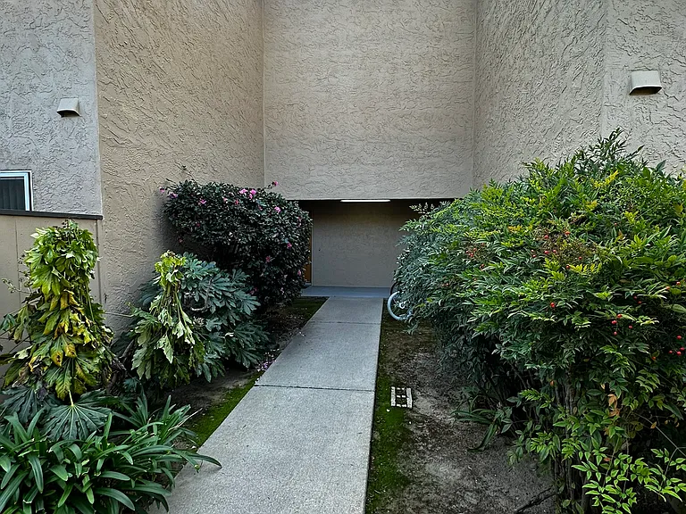 43587 Ellsworth St #6 — Photo 24