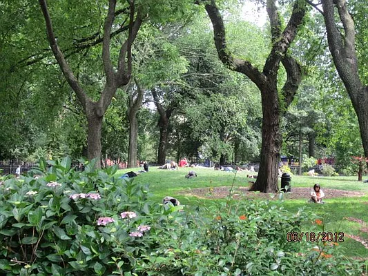 Rented by Majesty Management | media 19