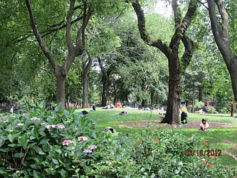 Rented by Majesty Management