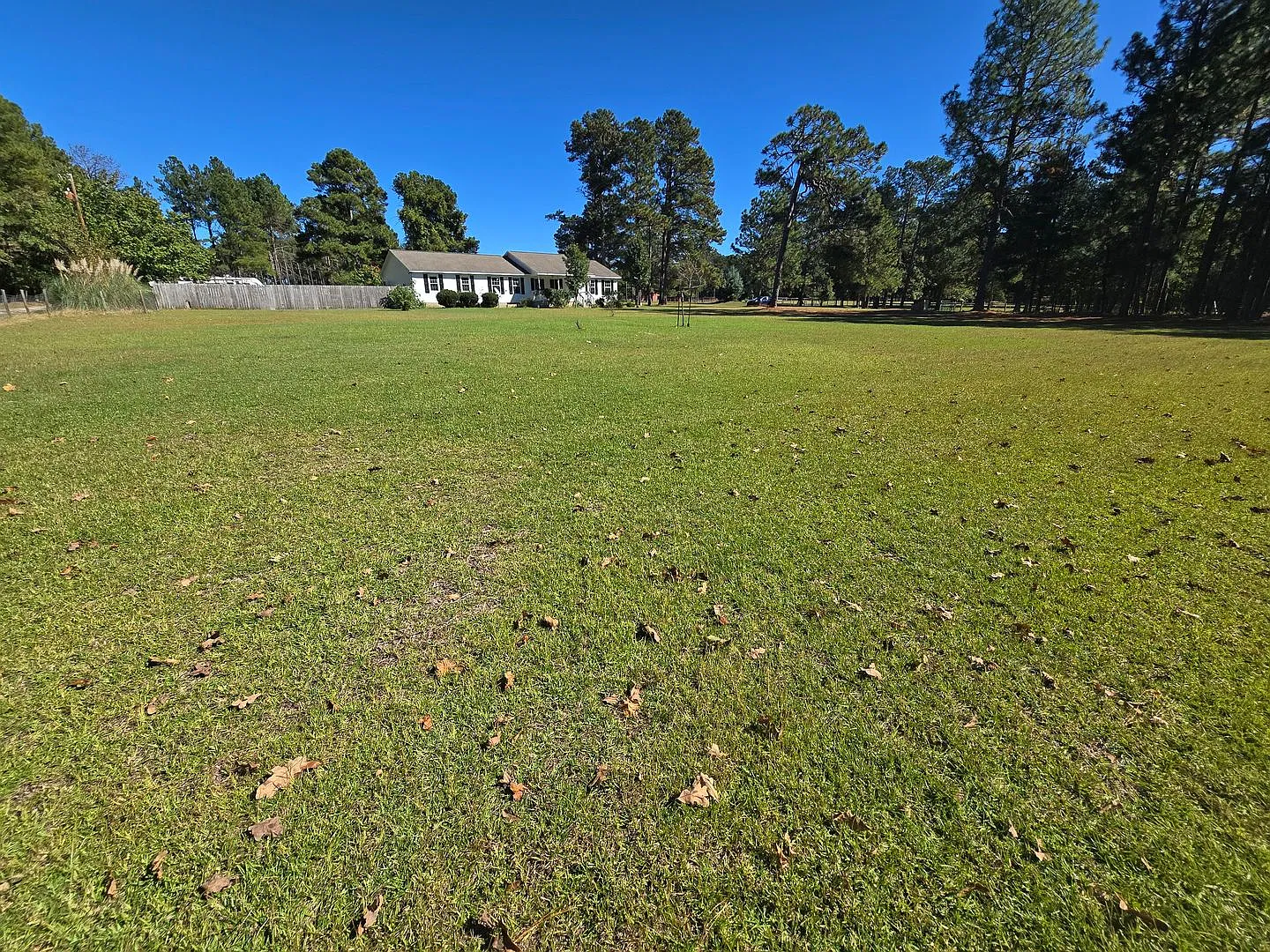 New Listing — Photo 2
